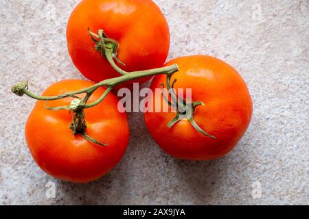 Große reife Tomaten an der Rebe Stockfoto