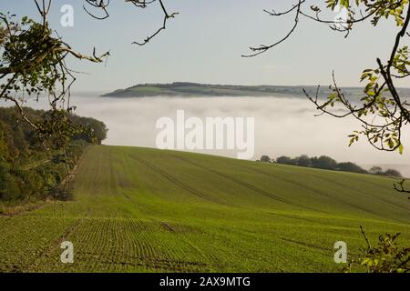 Blick vom Bury Hill über die Landschaft von Arundel in West Sussex, England. Mit Sonnenschein auf Nebel im Tal Stockfoto