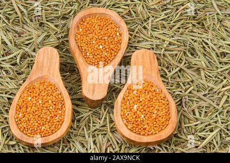 Rote Hirsekörner mit Holzlöffel. Stockfoto