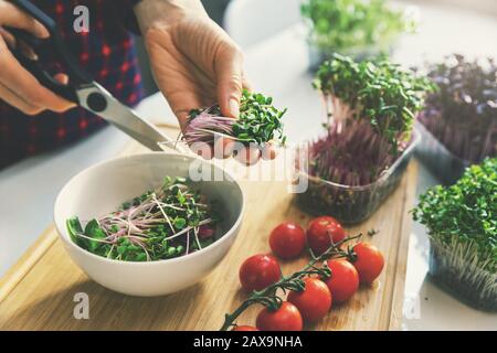 Frau bereitet frischen veganen Rohsalat aus Mikrogrüns und Gemüse zu Stockfoto