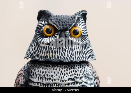 Porträt einer schönen Eule aus Holz, die auf einer Stange sitzt Stockfoto