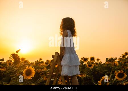 Glückliches Kindermädchen auf der Leiter, gegen Sonnenblumenfeld Stockfoto