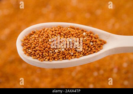 Rote Hirsekörner mit Holzlöffel. Stockfoto