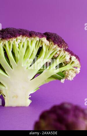 Frischer roher violetter Blumenkohl auf violettem Hintergrund Stockfoto