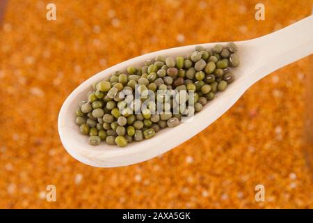 Chinesische grüne Bohnenkörner in n Löffel auf orangefarbenem Hintergrund. Stockfoto