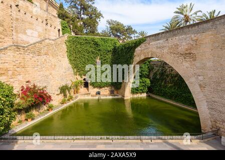 Historischer Arch der Drassana in Palma de Mallorca auf der Insel Mallorca, Balearen, Spanien Stockfoto