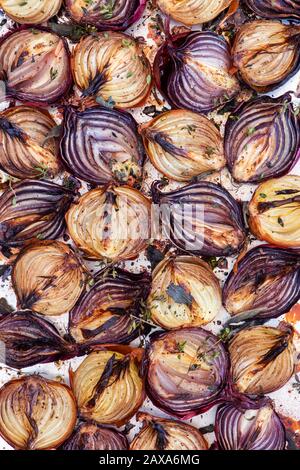 Allium Cepa. Geröstete Zwiebeln auf einem Backblech Stockfoto