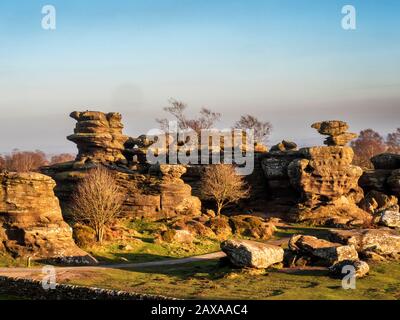 Gristone Felsformationen, die an einem Winternachmittag von der untergehenden Sonne in Brimham Rocks Brimham Moor Nidderdale AONB North Yorkshire England angezündet werden Stockfoto