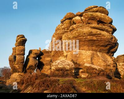 Gritstone-Felsformationen, die von der untergehenden Sonne in Brimham Rocks Brimham moor Nidderdale AONB North Yorkshire England angezündet werden Stockfoto