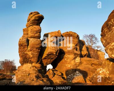 Gritstone-Felsformationen, die von der untergehenden Sonne in Brimham Rocks Brimham moor Nidderdale AONB North Yorkshire England angezündet werden Stockfoto