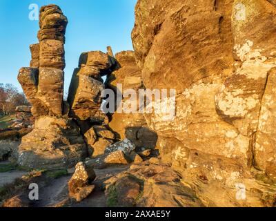 Gritstone-Felsformationen, die von der untergehenden Sonne in Brimham Rocks Brimham moor Nidderdale AONB North Yorkshire England angezündet werden Stockfoto