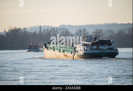 Trebur, Deutschland. Januar 2020. Am Rhein operieren zwei Lastkähne. Kredit: Andreas Arnold / dpa / Alamy Live News Stockfoto