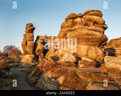 Gritstone-Felsformationen, die von der untergehenden Sonne in Brimham Rocks Brimham moor Nidderdale AONB North Yorkshire England angezündet werden Stockfoto