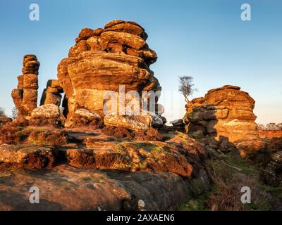 Gritstone-Felsformationen, die von der untergehenden Sonne in Brimham Rocks Brimham moor Nidderdale AONB North Yorkshire England angezündet werden Stockfoto