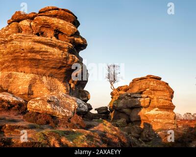 Gritstone-Felsformationen, die von der untergehenden Sonne in Brimham Rocks Brimham moor Nidderdale AONB North Yorkshire England angezündet werden Stockfoto