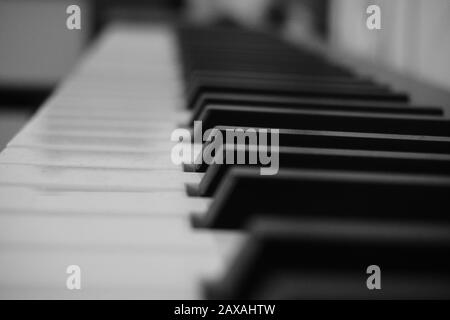 Tasten für Klavierrollen Nahaufnahme mit großem Bokeh in Schwarzweiß. Musikmusikalische Idee Stockfoto