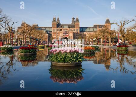 Museumplein-Landschaft mit blühenden Tulpen vor dem Rijksmuseum und dem Amsterdamer Schild Amsterdam, Niederlande Stockfoto