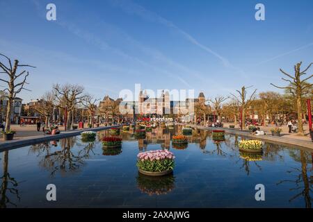 Tulpen, die vor dem Rijksmuseum und Amsterdam blühen, melden sich auf dem museumplein, Amsterdam, Holland Stockfoto