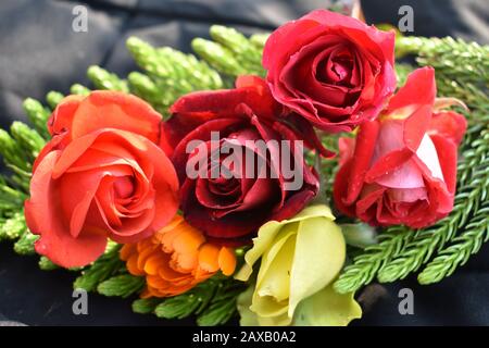 Rote Rosen: Eine rote Rose ist ein unverwechselbarer Ausdruck der Liebe. Rote Rosen vermitteln tiefe Emotionen - sei es Liebe, Sehnsucht oder Wunsch. Red Roses kann auch verwendet werden Stockfoto