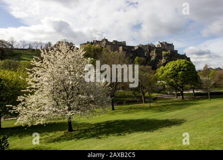 Schloss Edinburgh mit Blick auf die Princess Street Gardens im Frühjahr, fotografiert an einem sonnigen Tag am frühen Morgen. Stockfoto