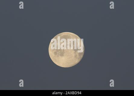 Der prächtige Vollschnee-Mond vom Februar 2020 aus Cheshunt, Großbritannien. Stockfoto