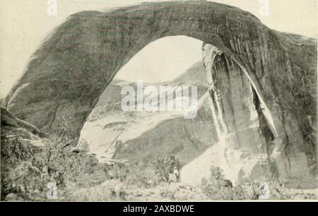 Durch den Grand Canyon von Wyoming nach Mexiko, mit einem Vorwort von Owen Wister;Neuauflage mit (72 Platten) aus Fotografien des Autors und seines Bruders . FELSRUINEN IN DER NÄHE DES FLUSSES SAN JUAN. Rainbow NATURAL BRIDGE SIEHT AUS 301 Ill PLACER GOLD 163 sauber, fester Sand, statt. Hier im Glen Canyon hadplenty of Mud, denn der Fluss war in den letzten Tagen gefallen. Immer wieder inspizierten wir scheinbar bevorzugte Plätze, nur um enttäuscht zu sein. Die Weiden und Denseshgumben kamen dicht am Fluss herab; der Schlamm war schwarz, tief und klebrig; alles Treibholz war auf der letzten Flut ausgegangen. In Der Zwischenzeit Stockfoto