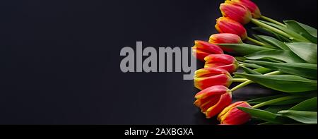 Federblumen-Banner. Rote Tulpen auf schwarzem Hintergrund mit Platz für Text. Frauentag Konzept. Nahaufnahme. Stockfoto