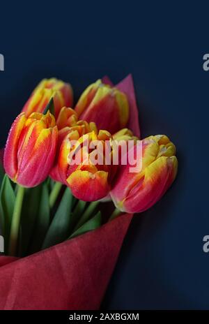 Blumenstrauß aus roten Tulpen auf dunkelblauem Hintergrund mit Leerzeichen für Text. frühlings-osterkarte. Frauentag Konzept. Nahaufnahme. Stockfoto