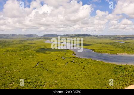 Hügel mit Regenwald, Blick auf die Luft. Tropische Landschaft mit Dschungel. Tropisches Klima, Natur der Philippinen. Hügelland und Himmel mit großen Wolken. Stockfoto