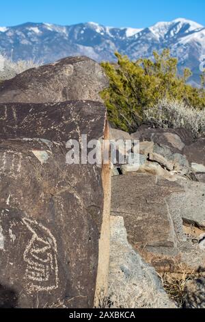 Ein 600 Jahre altes Gesicht, das von den Völkern der Jornada Mogollon in New Mexico in Basalt gehauen wurde. Stockfoto