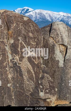 Ein 600 Jahre alter roadrunner, der von den Völkern der Jornada Mogollon in New Mexico in Basalt gehauen wurde. Stockfoto