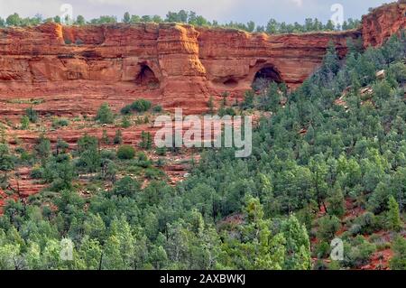 Blick auf die Bogenhöhlen von Sedona vom Soldiers Pass Trail. Stockfoto