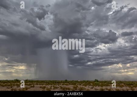 Ein monströmer Monsunsturm, der einen Niederschlag von Starkregen locker lässt, der die White Tank Mountains im Südwesten Arizonas während des vollständig verhüllt Stockfoto