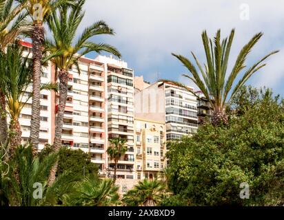 Hohe Gebäude sprießen zwischen der üppigen Vegetation an der Promenade entlang des Postiguet Beach.Alicante - Spanien Stockfoto