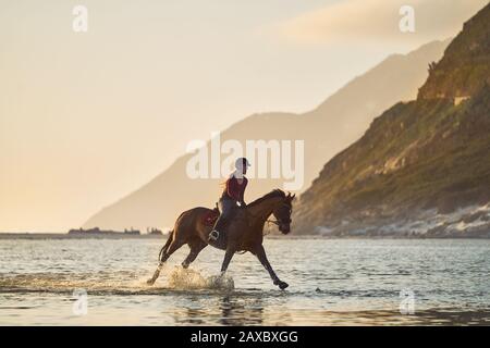 Junge Frau galoppiert zu Pferd in ruhiger Meeresbrandung Stockfoto