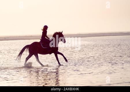 Junge Frau galoppiert auf dem Pferd in der Meeresbrandung Stockfoto