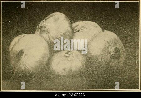 Die GemüsegartenAllgemeine Regeln für die Zubereitung und das Kochen von Gemüse. N der größte Teil des Herbstgartens wird gepflanzt. 2. Radieschen, Rüben, Rüben, Bohnen, Salat, Senf, Kohl, irische Kartoffeln, Schalotten und Zwiebelgarnituren. Sehen Sie den Tisch auf der Rückseite des Buches an. 3. Kohlwürmer sollten handverlesen oder vergiftet werden, indem sie leicht aus einem Käseklotensack gestaubt werden. Allgemeine VORSCHLÄGE FÜR DAS KONSERVIEREN VON VEGETA-BLES.Die Meisten Leute glauben, dass es ein Geheimnis über das Konservieren gibt.Das Geheimnis des Konservens von allem Gemüse ist erstens die absolute Reinheitshaltung und Sterilisation. Zunächst einmal gut frisch Stockfoto