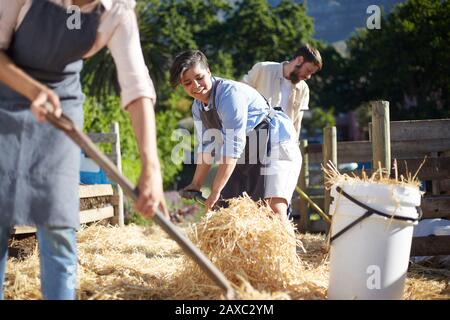 Frau, die auf dem Bauernhof arbeitet und Heu schaufelt Stockfoto