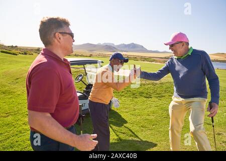 Männliche Golfer feiern auf einem sonnigen Golfplatz Stockfoto