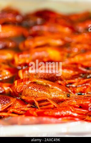 Vertikale Nahaufnahme von köstlichen gebackenen Krebsen Stockfoto