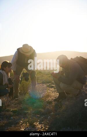 Safari-Tour-Guide erklärt Pflanzen für ein Paar sonnige Wildreservate Stockfoto