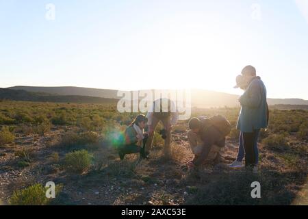 Safari-Tour-Guide erklärt Pflanzen, die im sonnigen Wildreservat gruppiert werden können Stockfoto