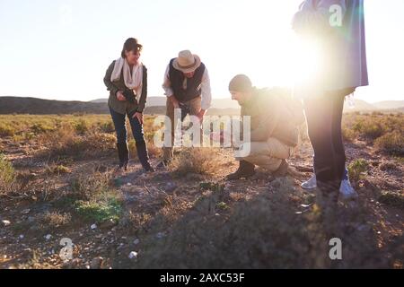 Safari-Tour-Guide erklärt Pflanzen, die im sonnigen Wildreservat gruppiert werden können Stockfoto