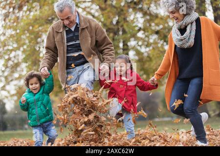 Verspielte Großeltern und Enkel treten Herbstlaub im Park an Stockfoto