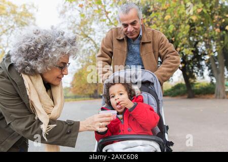 Großeltern füttern Enkel im Kinderwagen im Park Stockfoto