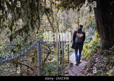 Hübscher, bärtiger Mann im Mantel mit Rucksack spaziert gern durch den schönen Herbst-Gelb- und Orangenwald. Touristenroute. Bäume in buntem Laub Stockfoto