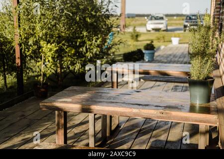 Pavillon in einem Straßencafé mit Pflanzen, Holztischen, Bänken und Blumen Stockfoto