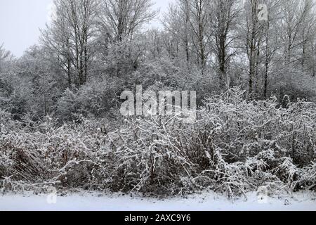 Nach dem Schneesturm Stockfoto
