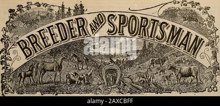 Züchter und Sportler . Fresno Modesto Madera o % Hoher Durchschnitt *" •••:i;e:?;i:a*.••••-"! C ••"••*•• SCHMELZEN & BLEI CO., San Francisco, Cal.. VOLUMEN LIV. Nr. 22. SAX FRAXCISCO, SAMSTAG. MAI 1909. Abonnement: 3,00 Usd Pro Jahr. Stockfoto