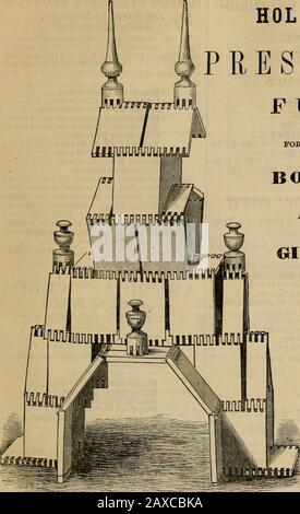 Amerikanischer Agrarwissenschaftler, für den Betrieb, den Garten und den Haushalt. 1868.] AMERIKANISCHER AGRARWISSENSCHAFTLER. 425. WEIHNACHTSGESCHENKE! SPASS MACHT DEN JUNGEN MÄDCHEN. Stockfoto